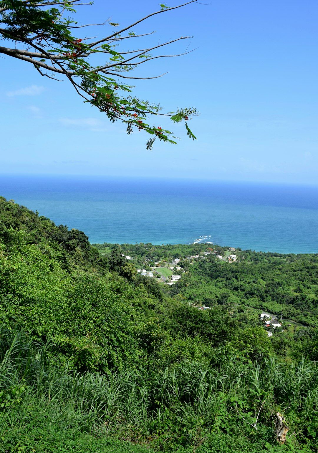 50th Anniversary of the Puerto Rico Tourism Company