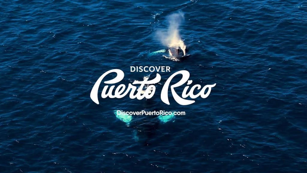 Discover Puerto Rico