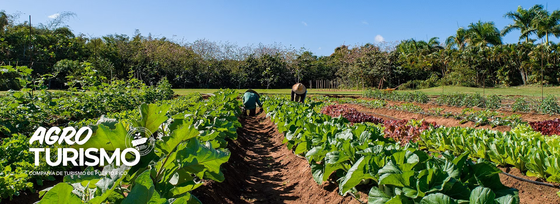Agrotourism Puerto Rico