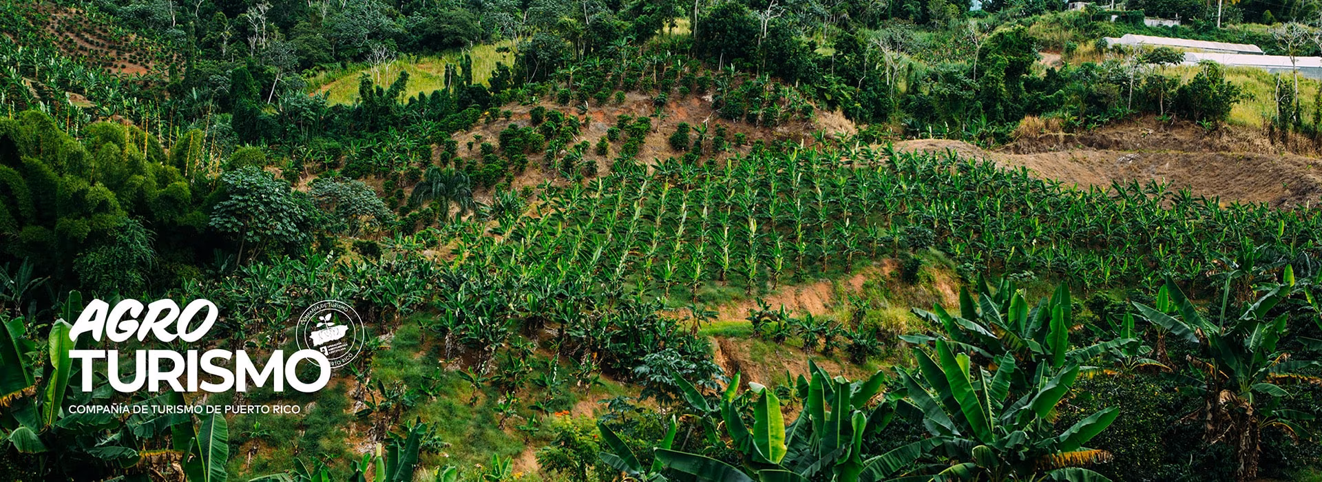 Agrotourism Puerto Rico
