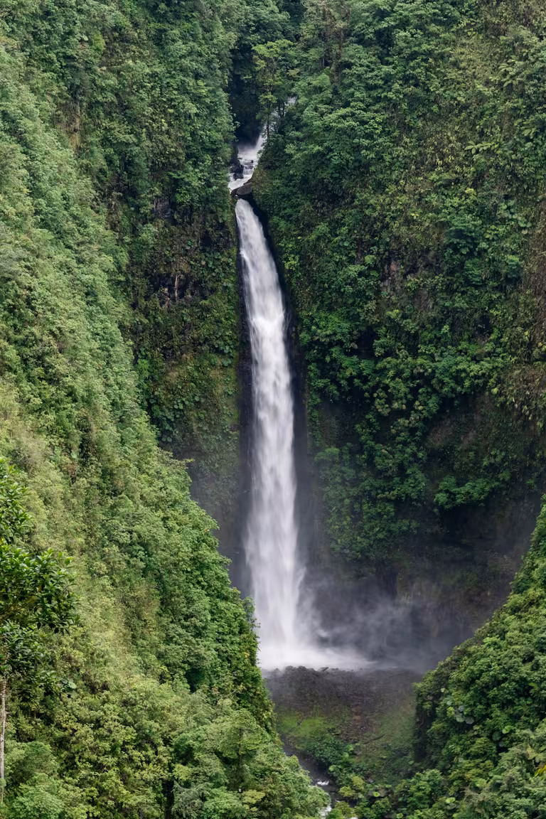 Ecotourism: Conservation and Adventure in Puerto Rico