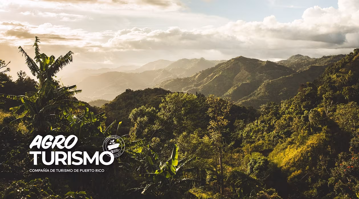 Be part of the endorsement program